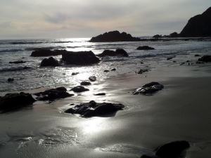 403707_10151144123716104_1403584132_n